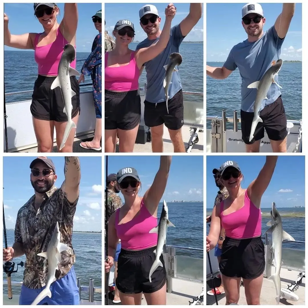 Group fishing trip with several small sharks caught